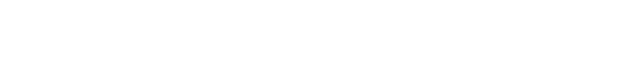 Westernacher Logo